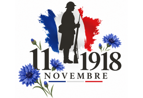 11nov.png