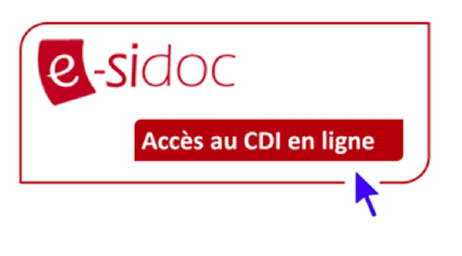 NL_logo_esidoc2.png